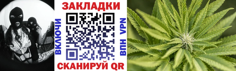 Виды наркотиков купить Светогорск Галлюциногенные грибы  Каннабис  Меф  ГАШ  А ПВП 