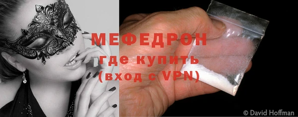 индика Аркадак