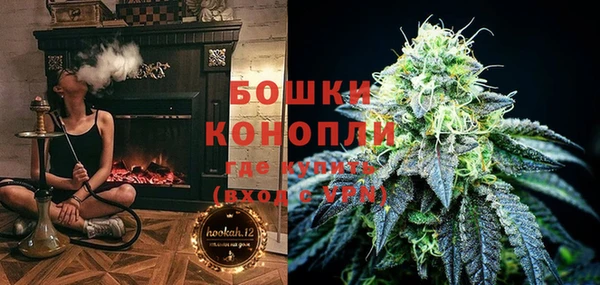 индика Аркадак