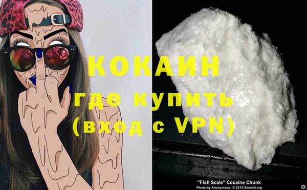индика Аркадак