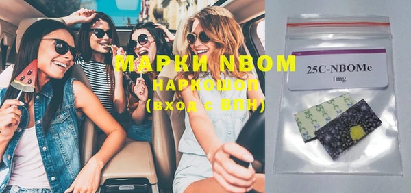 индика Аркадак